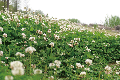 1591671945122554.jpg 年會(huì)圖片尺寸壓縮-05.jpg